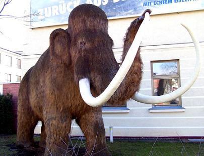 ADN de Mamut secuenciado