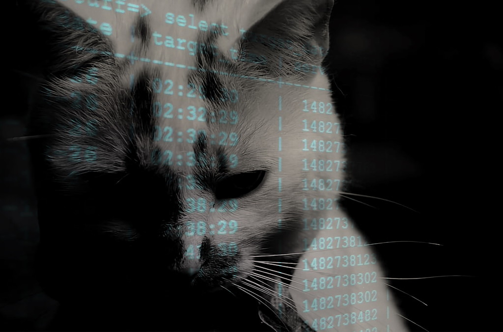 Un ciberatacante destruye miles de bases de datos MongoDB y Elasticsearch y deja sólo una firma: Un ciberatacante destruye miles de bases de datos MongoDB y Elasticsearch y deja sólo una firma: