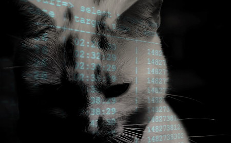 Un ciberatacante destruye miles de bases de datos MongoDB y Elasticsearch y deja sólo una firma: 