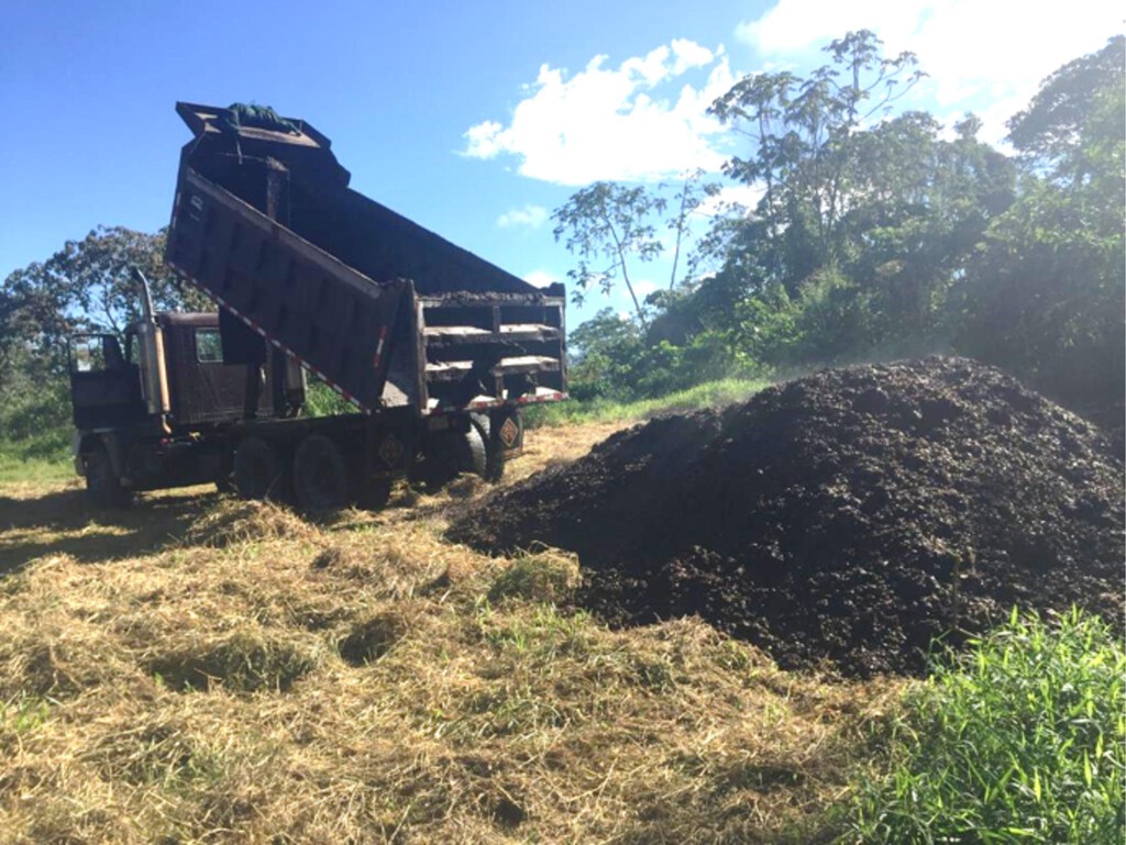 En 2018, cubrieron un páramo de Costa de Rica con 30 camiones cargados de café. Dos años después, el paisaje era irreconocible