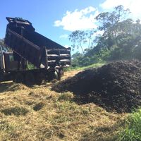 En 2018, cubrieron un páramo de Costa de Rica con 30 camiones cargados de café. Dos años después, el paisaje era irreconocible