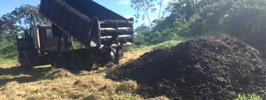 En 2018, cubrieron un páramo de Costa de Rica con 30 camiones cargados de café. Dos años después, el paisaje era irreconocible