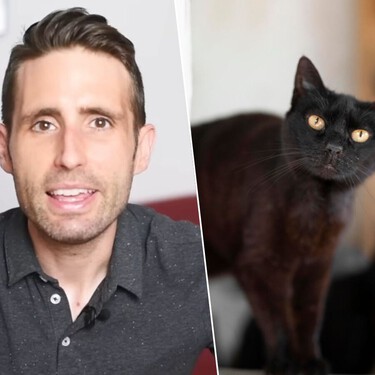 Carlos Gutiérrez, veterinario: "Los gatos negros se acercan mucho a sus dueños pero a veces son un poco tímidos"