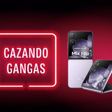 Cazando Gangas