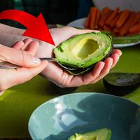"Refrigera el aguacate una vez que esté maduro; puede conservarse fresco hasta por dos semanas": Profeco, experto en consumo  