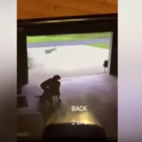 A veces una mascota es una necesidad: el niño que se cuela en casa de su vecina para abrazar a su perro