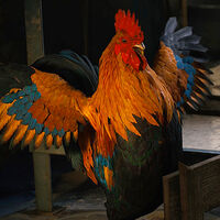 Cómo entrenar a Chatarrín en ARC Raiders y dónde encontrar sus objetos de mejora