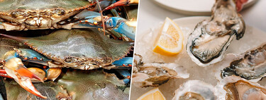 El cangrejo azul es una plaga en todo el Mediterráneo, pero los italianos han dado con la tecla para resistir la invasión: cultivar ostras 