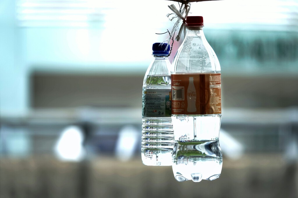 Se supone que, en noviembre, España obligará a las tiendas a cobrar un importe por cada botella y lata vendida. Se supone 