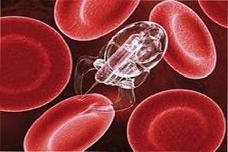 ¿Cómo podríamos extinguirnos por culpa de la nanotecnología?