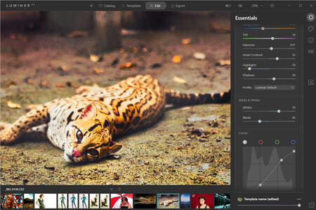 Skylum Luminar AI: análisis de la más reciente versión del editor fotográfico basado en inteligencia artificial