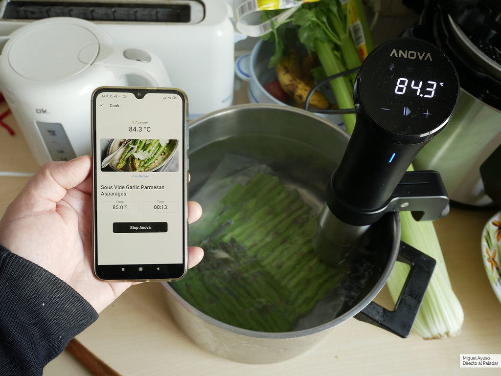 Cuánto Tiempo Tarda En Estropearse El Gasoil Probamos el nuevo circulador sous vide Anova Precision Cooker (y  redescubrimos para qué es realmente útil la baja temperatura) | Directo Al  Paladar | Bloglovin'