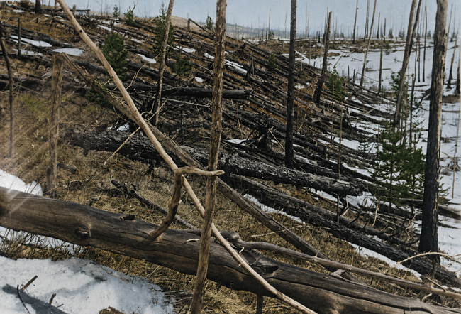 Bolido De Tunguska
