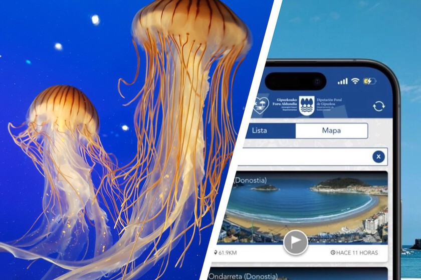 Las medusas han llegado al Cantábrico: esta es mi app imprescindible para saber si hay cuando voy a las playas de Gipuzkoa 