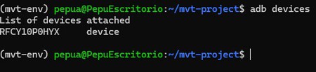 MVT Windows