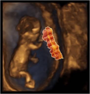 sorry baby, from bacon store