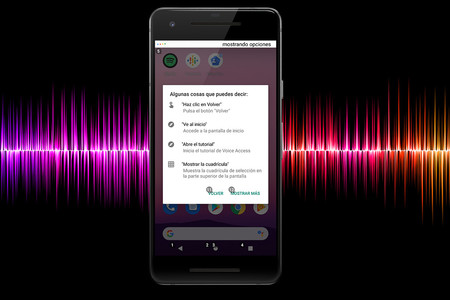 Voiceaccess