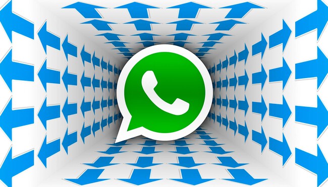 Novedades Whatsapp