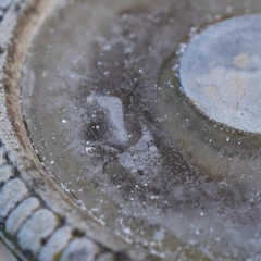 Foto 12 de 17 de la galería sony-a7-iii-muestras-toma-de-contacto en Xataka Foto