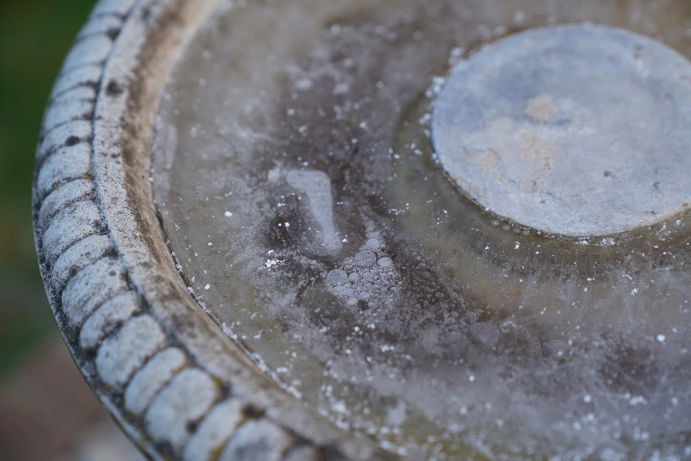 Foto de Sony A7 III - Muestras toma de contacto (12/17)