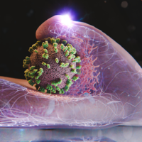 Inédito: cientistas gravam vídeo de vírus da gripe invadindo células humanas em tempo real e as imagens vão te impressionar 