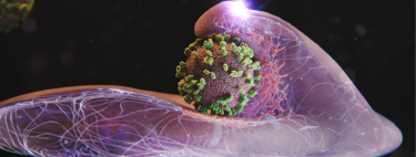 Inédito: cientistas gravam vídeo de vírus da gripe invadindo células humanas em tempo real e as imagens vão te impressionar 