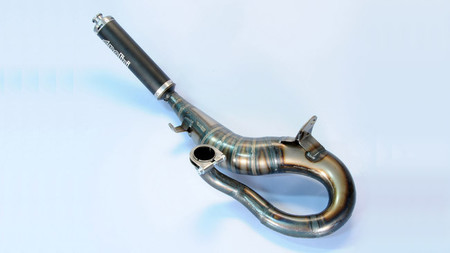 Escape Evolution Polini