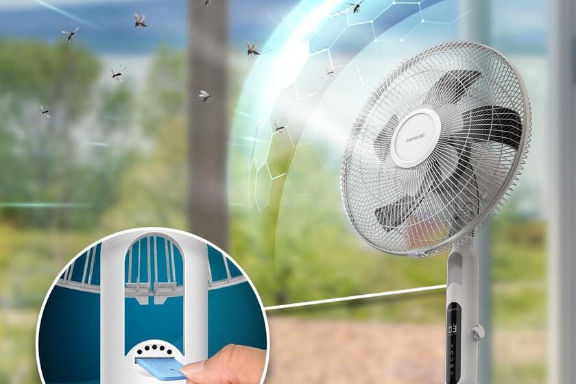 mosquitos