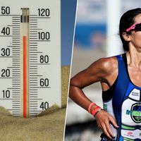 A 34ºC, diez latidos más por minuto: el efecto del calor en nuestra frecuencia cardiaca al hacer deporte en verano
