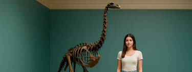 La ciencia ha dado otro paso hacia Jurassic Park con la resurrección del Moa gigante