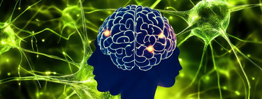 La IA también marca el futuro de la biología con "mini cerebros", proteínas a la carta y un sinfín de ideas tan locas como peligrosas 
