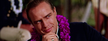 En 1966, Marlon Brando compró una isla en la Polinesia. 60 años después, es un santuario donde viven miles de tortugas verdes y otros animales