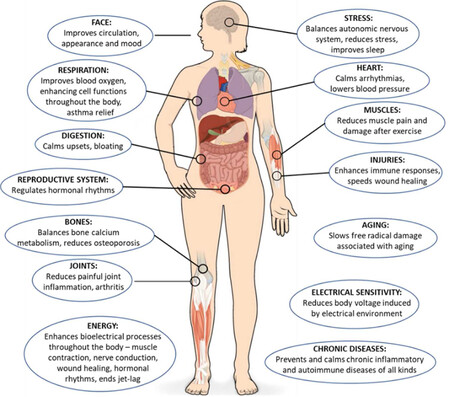 Imagen extraída de https://www.sciencedirect.com/science/article/pii/S1550830719305476?via%3Dihub