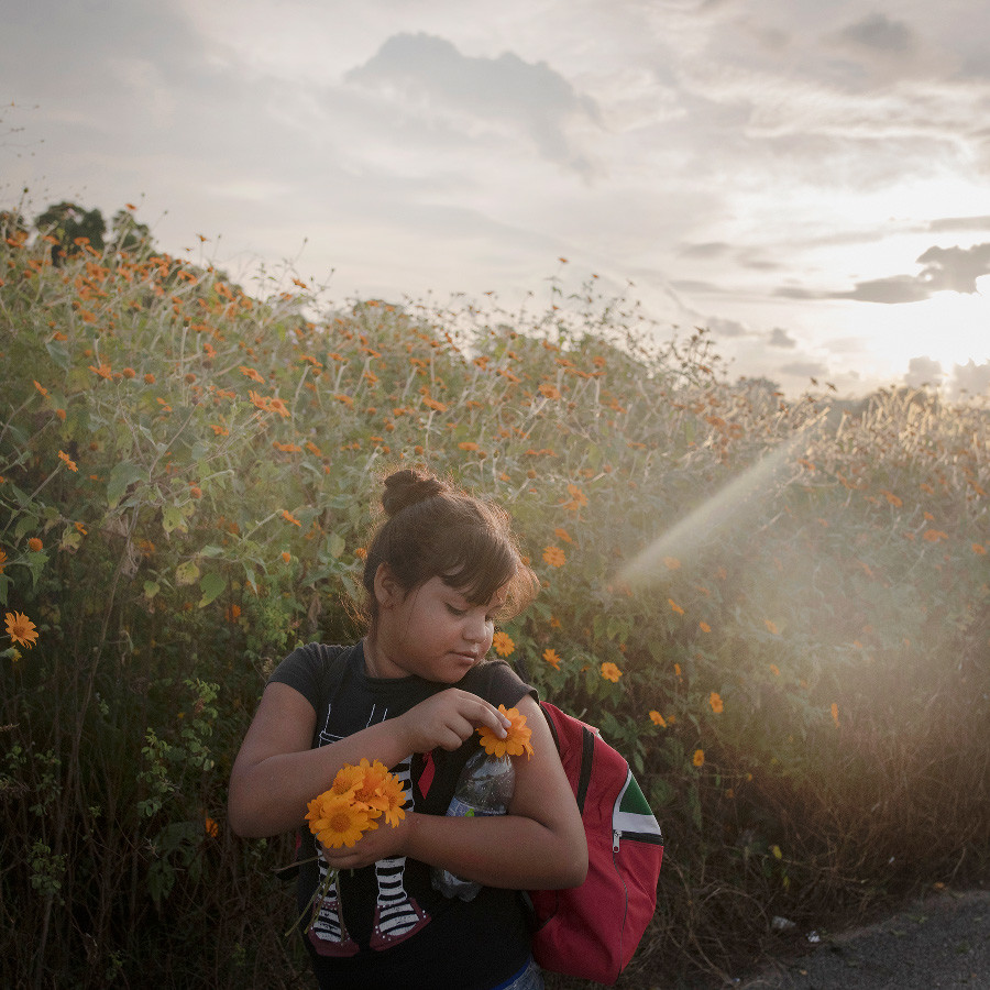 Ganador Series: ‘The Migrant Caravan’ de Pieter Ten Hoopen (Suecia)