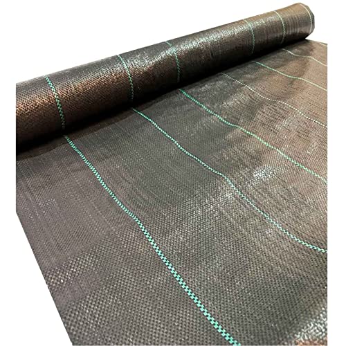 Acan Tradineur - Malla antihierbas, Rollo 1 x 10 m (29912)