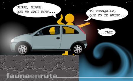 fauna en ruta: aparcar