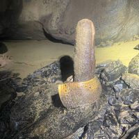 El hallazgo de un montón de basura en una cueva de México ha resultado otra cosa: un ritual de fertilidad hace 500 años