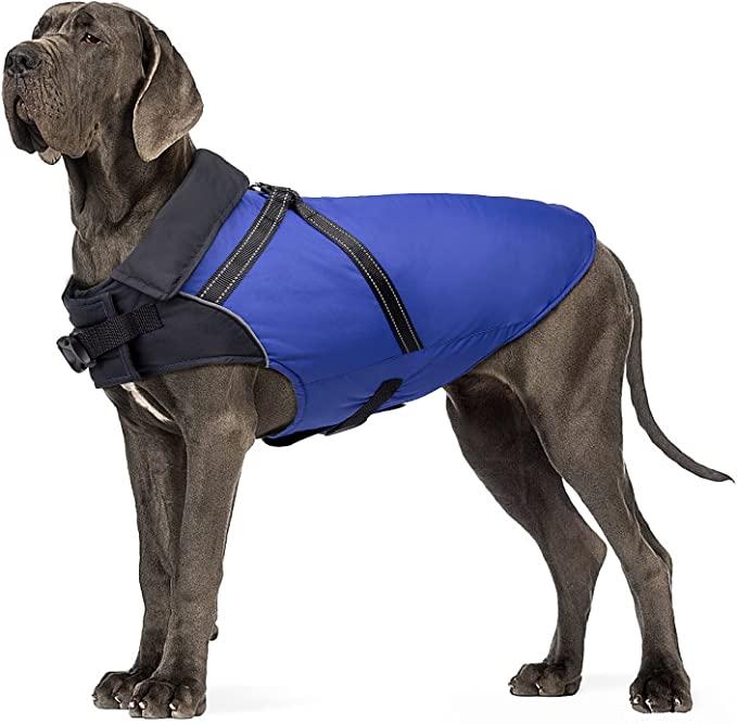 Buddypuppy Chubasquero Abrigo Perro, Chaqueta Impermeable Invierno con Arnés para Mediano Grande Perro
