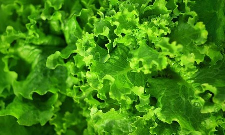 Zumo de naranja y verduras de hojas verdes: menor pérdida de memoria en los hombres