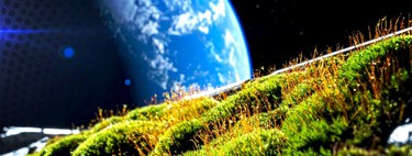 Pesquisadores colaram musgo na parte externa da Estação Espacial Internacional por 283 dias — e ele sobreviveu