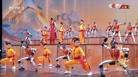 China Robots Kung Fu4