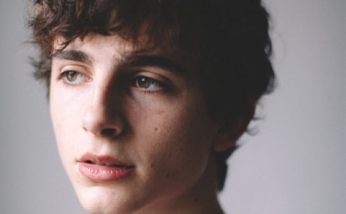Timothée Chalamet, es sin duda, un ícono a tener en cuenta no sólo por ...