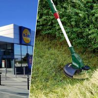 Hoy en Lidl: el cortabordes sin cables y potente para repasar el césped por menos de 30 euros