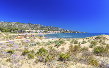 Playa Carregador