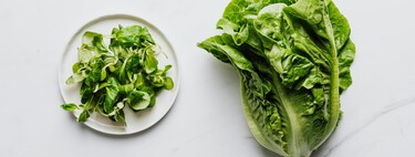 Así puedes conservar la lechuga fresca durante 60 días sin complicaciones: el truco de un chef que se ha vuelto viral