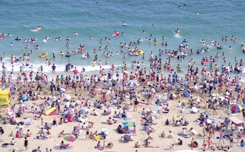 No se admiten niños ¿exclusión o libertad de elección?