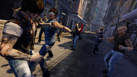 sleeping dogs