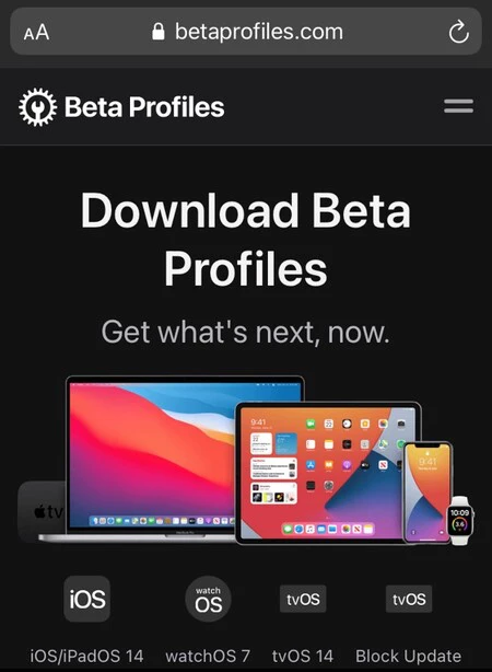 Betaprofiles1