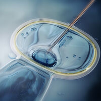 Se crea el primer modelo de embrión humano a partir de células de la piel, un avance para prevenir abortos e infertilidad