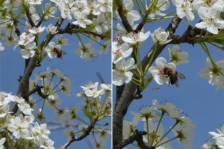 Tele Y Ampliacion S26 Ultra